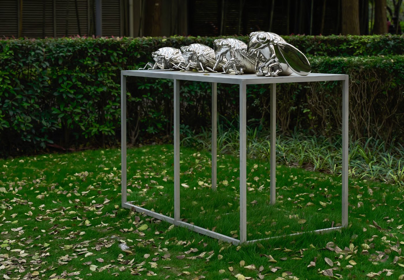 Scales of Anthropomorphism (Cicada), 2024