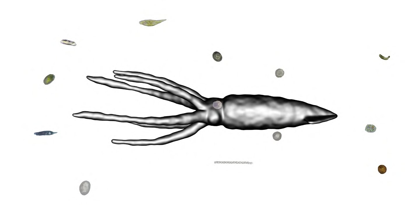 Exoskeleton, 2023